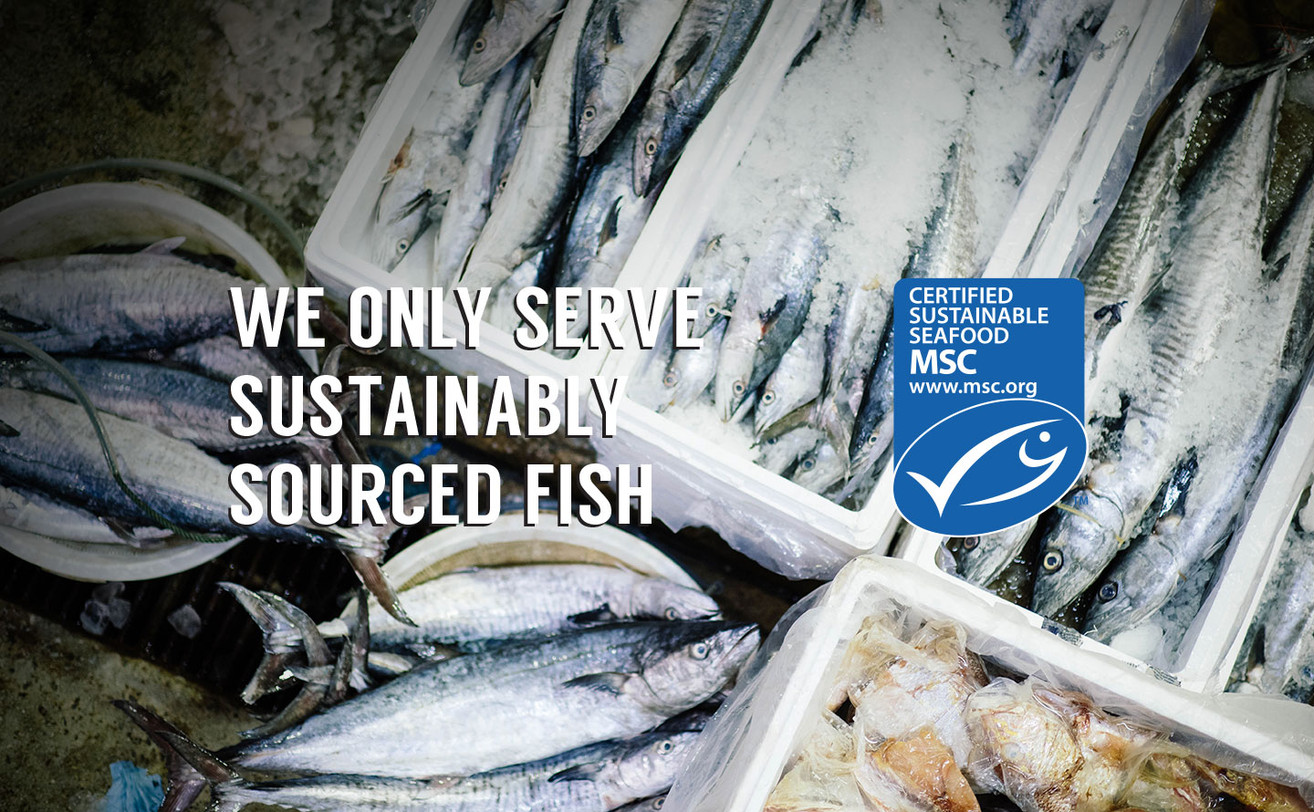 We Only Serve Sustainably Sourced Fish